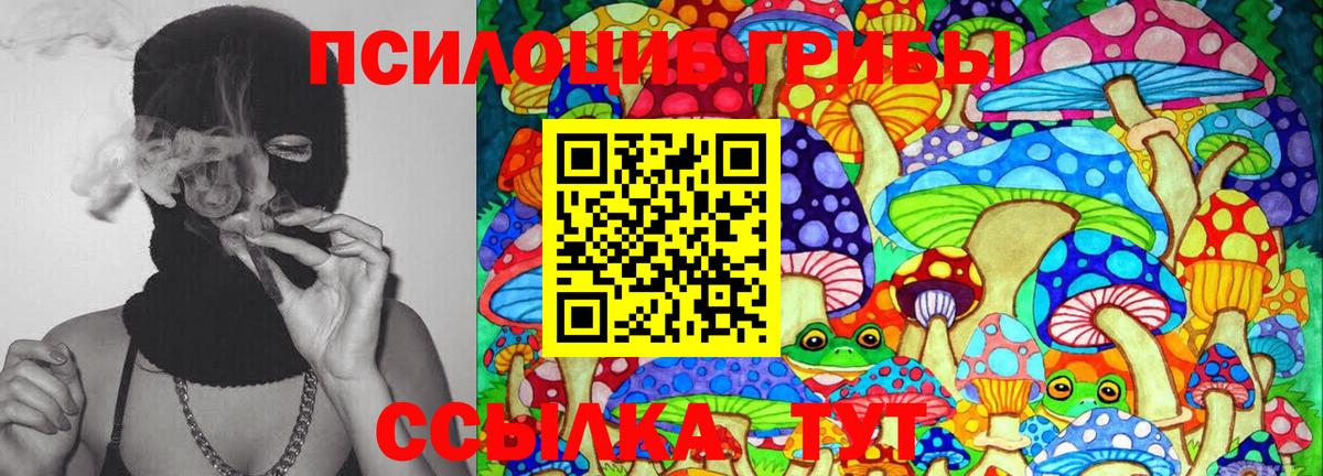 Галлюциногенные грибы GOLDEN TEACHER  Галлюциногенные грибы MAGIC MUSHROOMS  Вход с VPN  Советск 