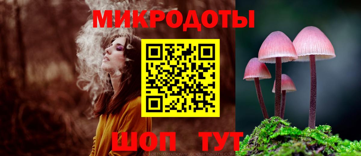 Псилоцибиновые грибы Psilocybe Советск